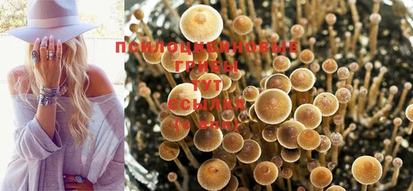 прущая мука Алзамай